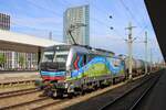 RheinCargo 193 106 takes a short break at Mannheim Hbf for a crew change on 19 May 2026.