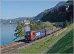 With a short freight train, the 193 072 rented by SBB Cargo is heading towards Villeneuve. In the background, Chillon Castle enriches the scene.

July 30, 2025