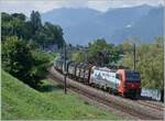 At Villeneuve, the 193 470 rented by SBB Cargo International with the Novelis train Sierre - Göttingen is on its way towards Lausanne.

July 30, 2025
