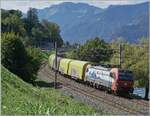 The SBB Cargo International 193 467 is near Villeneuve with its Novellis train on the way from Sierre to Göttingen.

September 2, 2026