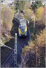 The DB 1440 176 by Schluchsee on the way to Breisgau.