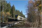 The 1440 360 and 858 in the Black Forest between Schluchsee and Aha on the way to Breisach.