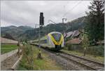 The DB 1440 189 and an other one on the way to Seebrugg by Kirchzarten.