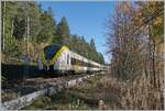 The two Alstom Coradia Continental 1440 360 and 1440 858 are shortly after Schluchsee on the way towards Tittisee.

Nov 13, 2022