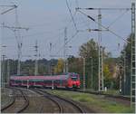 The ET 442 037 is arriving at Rostock.
29.09.2017