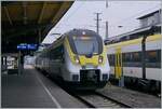 The SWEG 8442 107 is the S2 to Bleibach. This service is waitng in Freiburg (Breisgau) HBF his departure. 

27.012.2025

