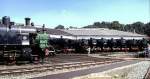Parade of various steam lcomotives e.g. classes S 3/6 (18), 42, 50, 52, 64, 94 and private like Tegernsee-railway TG No9; Nrdlingen July 1994.