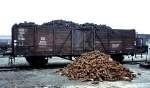A wagon for internal use in the timber-yard only for transportation of coke for the smithy; in front of the wagon there are cast-iron brake-shoes, shown to the guests of the festival at Hannover-Leinhausen, May 19th, 1978.