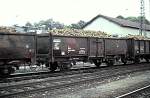 Open wagon class Ev (Omm 52) for transportation of sweet turnips at Nrdlingen, October 19th, 1985.
