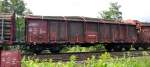 Waggon for raw wood transportation only type Ealos-t 058 at Ulm, 01. September 2010.