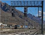 The GTS-Rail 483 059  Leonida  with a Cargo Train in Premosselo Chiovenda.