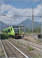 Not only in the deep south in Sicily can the new FS Trenitalia regional colors be seen, but also in Domodossola: Although the line to Milan (currently served by replacement bus services due to construction work) is operated by Trenord, Trenitalia reg ...