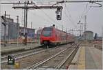 A FS Trenitalia BTR 831 on the way from Torino to Aosta in Chivasso. 

24.02.2023