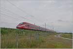 The FS Trenitalia ETR 400 053 is traveling as Frecciarossa FR 9508 from Roma Termini (from 06:00) to Torino Porta Nuova 11:05 with Livorno Ferraris on the high-speed route Milano - Torino. The train stops are Roma Tiburtina, Orte, Firenze SMN, Bolgogna Centrale, Reggio Emilia AV, Milano Rogoredo, Milano Centrale, Rho Fiera Milano and Torino Porta Susa.

June 15, 2024
