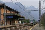 Two Trenord ETR 425 on the way to Domodossola arriving at the Cuzzago Station.
29.11.2018