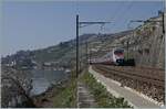 A FS Trenitalia ETR 610 between Rivaz and St-Saphorin on the way to Milan.