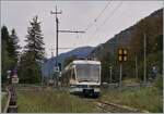 Between Re and Villette, the SSIF ABe 4/6 62 and another ABe 4/6 are on their way towards Domodossola.

24 Sept. 2019