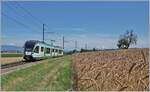 The LEB RBe 4/8 No. 48 is operating as R20 between Bercher and Fey on its way to Cheseaux, with a connection to Lausanne via SEV due to summer construction work. The 24-km LEB route begins in the 'big city' of Lausanne and ends in the rural, sparsely ...
