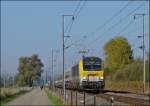 3006 is hauling the IR 115 Liers - Luxembourg through the Alzette valley between Mersch and Lintgen on October 25th, 2012.