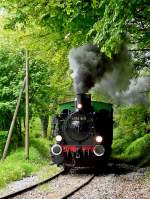 . The steam engine  Anna N° 9  is running on the heritage railway track of  Train 1900  between Pétange and Fuusbësch on May 3rd, 2009.