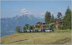 With the GoldenPass Express (GPX), now expanded to five cars, the MOB Ge 4/4 8002 is near Les Avants on its way to Interlaken. In Zweisimmen, the Ge 4/4 is replaced by a BLS Re 465, and a sixth car, the 'Interface Car,' is added to the train.

June ...