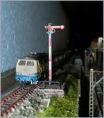 A Z - Gauge V 218 and a Semaphor Signal.