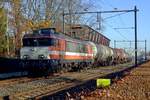 RFO (formerly LOCON) 1831 hauls an oil train through Wijchen on 30 November 2019.