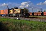 Une girafe sur les rails ! Le 4 octobre 2026, le HSL 1508 - arborant depuis 2025 ce design intéressant de girafe - a fait une apparition rare sur l'artère fret de la Betuweroute et est ici