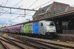 On 23 Juloy 2026 Lineas 186 295 calls at Roosendaal with the 'Tomorrowland Express II' about 45 minues early, giving the photographers at Roosendaal considerable extra time to shoot a picture of this train before the festival goers leave with the tra ...