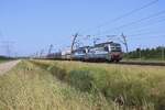 SBBCI 193 107 and sister loco haul a coal train through Valburg on 26 May 2026 as mercenaries for �BB/RCC. Because the new SBBCI Vectron X-LOads 193 451-460 and 541-549 were not yet allowed to run into Italy, SBBCI temporarily had a surplus of tracti ...