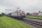 On 24 May 2021 PKP Cargo EU46-514 braves the rain while hauling a Tilburg-bound Chengdu container shuttle through Wijchen.