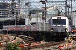 Hello Corentin, 
a very nice picture. But your other picture are with 1600 px zu  ... Stefan Wohlfa
