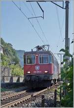 The SBB Re 4/4 II 11344 (Re 420 344-4) is near Ligerz on the way in direction to Neuchâtel. 

11.07.2025