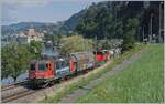 The SBBB Re 4/4 II 11256 (Re 420 256-0) is with his cargo train near Villeneuve on the way to St Maurice. 

30.07.2025