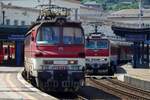 Head-on for 240 073 at Bratislava hl.st.