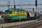La PSZ 242 282 tracte un train de céréales à travers Bratislava hl.st. le 31 mai 2015. Bratislava hl.st., la gare la plus fréquentée de Slovaquie, est un peu exiguë, mais le quai allongé n°1 offre un très bon point de vue sur les nombreux trains de marchandises qui passent du mardi au vendredi (bien que celui-ci ait presque surpris votre photographe).