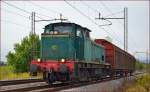 Diesel loc 642-188 pull freight train through Maribor-Tabor on the way to Maribor station. /12.9.2013