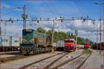 Diesel loc 664-106 with container train from Hodo is arriving at Pragersko station.