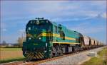 Diesel loc 664-102 pull freight train near Podvinci on the way to Pragersko. /25.10.2013