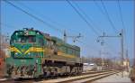 Diesel loc 664-110 is running through Maribor-Tabor on the way to Maribor station.