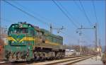 Diesel loc 664-110 is running through Maribor-Tabor on the way to Maribor station. /13.3.2014