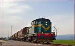 Diesel loc 643-028 pull freight train through Cirkovce on the way to Kidričevo. /4.4.2014