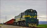 Diesel loc 664-103 pull freight train through Cirkovce on the way to Hodoš. /17.4.2014 