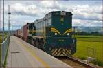 Diesel loc 664-103 pull container train through Šikole on the way to Hodoš. /14.5.2014