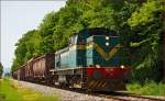 Diesel loc 643-028 pull freight train through Maribor-Studenci on the way to Tezno yard. /22.5.2014