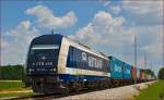 Diesel loc METRANS 711 016 pull container train through Cirkovce-Polje on the way to Koper port. /19.6.2014