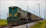 Diesel loc 664-106 pull freight train through Cirkovce-Polje on the way to Hodoš. /3.6.2014