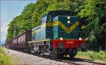 Diesel loc 643-010 pull freight train through Maribor-Studenci on the way to Tezno yard. /7.7.2014