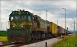 Diesel loc 664-106 pull container train through Cirkovci-Polje on the way to Hodoš. /11.7.2014