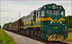 Diesel loc 664-103 pull freight train through Cirkovce-Polje on the way to Koper port. /11.7.2014